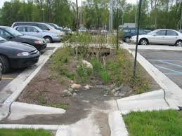 Parking Lot Raingarden Landschapsarchitectuur Tuin Afwateringen