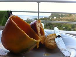 Mangue Devisse Mangue Ile De La Reunion La Reunion