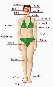 It's probably the one body part that most men are immediately attracted to when they see a girl. Pin On A