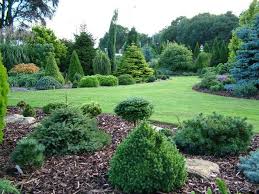 Acreage Landscaping Google Search Evergreen Landscape Acreage Landscaping Evergreen Garden