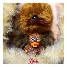 Un Canard Tout Poilu Coincaillerie Com Teddy Bear Teddy Animals
