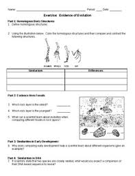 Worksheets and lesson ideas to challenge students aged 11 to 16 to think hard about the evidence for evolution (gcse and key stage 3). Evidence Of Evolution Worksheet By Coach B S Store Tpt