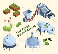Olive Manufacturing Oil Production Processes Olive Oil Olive Olive Press