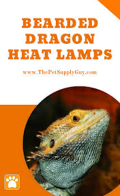 Best Basking Light For Bearded Dragons Complete Guide In 2020 Bearded Dragon Heat Lamp Bearded Dragon Bearded Dragon Lighting