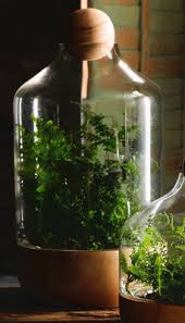 Extra Large Danish Copenhagen Terrarium Terrarium Terrarium Containers Bottle Terrarium