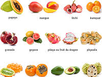 Imagier Pour Apprendre Les Noms Des Fruits Exotiques Fruits Exotiques Coloriage Fruits Les Noms Des Fruits