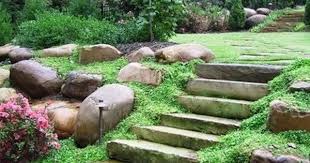 Sloped Yard Design Ideas Pictures Remodel And Decor Sloped Backyard Backyard Traditional Landscape