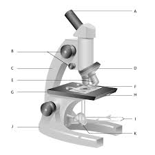 Microscope Diagram Free Printable Tests And Worksheets Science Worksheets Microscope Parts Microscopic