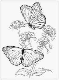 Pin On Adult Coloring Pages