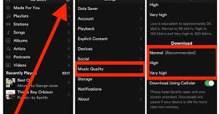 Cara Merubah Kualitas Musik Unduhan Di Spotify Musik Unduh Spotify Rock Pop Lagu Musik Aplikasi