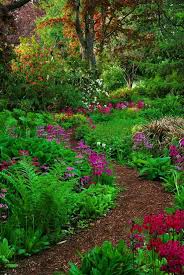 24 Woodland Garden Design Fancydecors Woodland Garden Natural Garden Beautiful Gardens