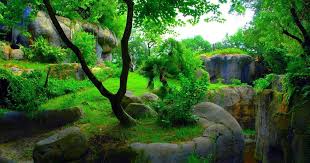 19 Hd Green Nature Wallpaper For Pc 1920x1080 3d Hd 1080p Wallpapers And Background Green Green Green Nature Wallpaper 3d Nature Wallpaper Nature Wallpaper