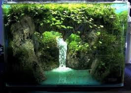 9 Aquascape Nano Tank Ideas Aquascape Paludarium Blog Aquascape Nano Tank Backyard Water Feature