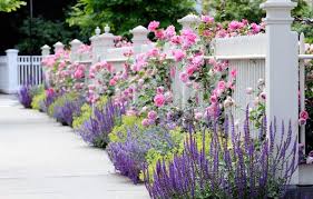 Pnk Blue Flower Garden Garden Fence Fence White Flowers Flower Rose Pink Blue Yellow Cottage Garden Front Yard Landscaping Gorgeous Gardens