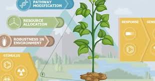 Darpa Turning Plants Into Stealth Environmental Sensors Environment Plants Fun Science