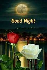 Best 1000 Good Morning Images Download Hd Very Good Morning Images Good Morning Image In 2020 Good Night Love Images Good Morning Images Hd Good Morning Images