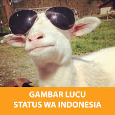 Kumpulan gambar lucu terbaru dengan kategori foto lucu,animasi,cerita ,kata lucu,sexy,dp bbm,sms lucu,fakta unik dan humor sunda yang paling gokil Download Gambar Lucu Status Wa Android App Updated 2021