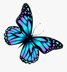 Diamond Clipart Butterfly Cartoon Blue Butterfly Free Transparent Clipart Clipartkey If you like, you can download pictures in icon format or directly in png image format. diamond clipart butterfly cartoon