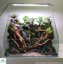 Paludarium By Michael Yap Philippines Aquascape Planted Aquarium Floating Plants