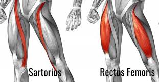 Squats And Hip Dysfunction 2 Common Problems And How To Fix Them Breaking Muscle Hip Flexor Muscle Stretches