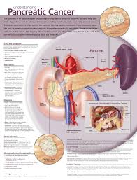 Pin On Medical Studies