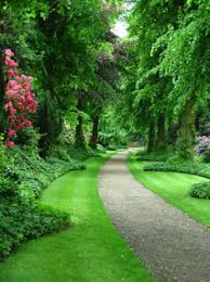Wheaton And Glen Ellyn Real Estate Blog Low Maintenance Privacy Landscaping Beautiful Gardens Garden Paths Landscape Design