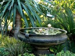 Water Lilies Planted In An Antique Urn It S A Neat Idea Especially Since It Makes Backyard Water Feature Water Features In The Garden Container Water Gardens