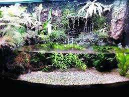 Aquarium Terrarium Aquarium Terrarium Ideas Aquarium Vs Terrarium Vs Vivarium Aquarium Paludarium Vivarium Aquarium Landscape Aquarium Aquarium Fish