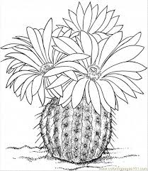 Cactus Flower Coloring Page Free Printable Coloring Page Cactus 5 Natural World Flowers Flower Coloring Pages Flower Drawing Cactus Art