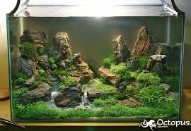 Pin On Aquascape