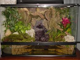 How Gorgeous Love The Mix Of Plants The Cave Back Drop And The Waterfall Just Wonder How The Frogs Get Out Of The Water Pond Plants Terrarium Waterfall