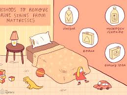 They're all organic.5 x research source cold water if you don't want the stains to show on your carpets, you can use the how to get rid of bed bug stains hacks or even try getting a darker colored carpet. How To Remove Urine Stains And Odors From Mattresses