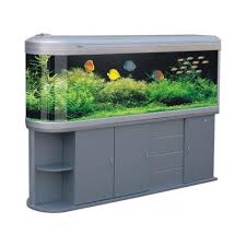 Electronics Cars Fashion Collectibles Coupons And More Aquarium Fish Tank Fish Tank Aquarium Fish