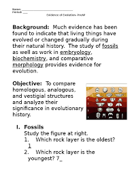 There are two ways of dating fossils: Evidence Of Evolution Worksheet Murch 2013answers Paleontological Concepts And Hypotheses Evolution