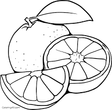13 Free Printable Orange Coloring Pages In Vector Format Easy To Print From Any Device And Automatical Fruit Coloring Pages Coloring Pages Easy Coloring Pages