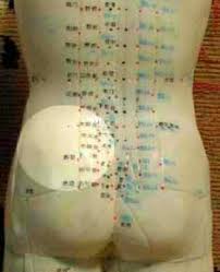Pin On Lower Back Pain