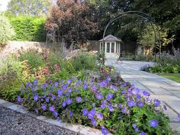 One Of Our Country Garden Designs In North Somerset It Is Autumn But Geranium Rozanne Is Still Flowering Country Garden Design Garden Design Country Gardening