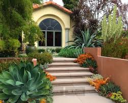 Foxtail Agave Mediterranean Landscape Design Succulent Landscape Design Mediterranean Landscaping