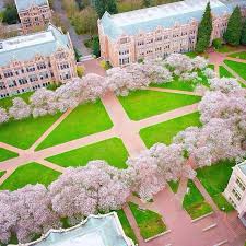 University Of Washington University Of Washington Huskies University Of Washington Evergreen State