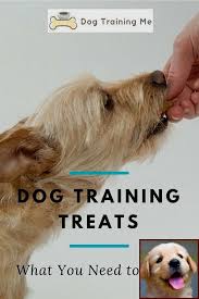 He always makes us show our artistic creativity. 1 Have Dog Behavior Problems Learn About Potty Training A Puppy Near Me And Becoming A Dog Behaviorist Dog Behavior Problems Dog Training Dog Behavior
