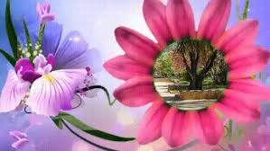 Good Morning Gif Images For Whatsapp Free Download First Media Post Scroll through the screen to see more, or type search terms into the text box to find a specific gif.