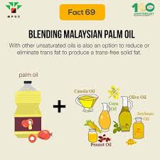 Pin By Palm Oil Tv On 100 Interesting Facts Olive Oil Corn Peanut Oil Soybean Oil