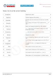 Class 5 Nso Worksheets On Plants 06 Sample Paper Sample Question Paper Science Worksheets