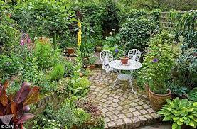 How To Give A Small Garden Huge Punch Have One Big Idea Get Creative With Climbers An Daily Mail Cottage Garden Design Small Courtyard Gardens Small Gardens