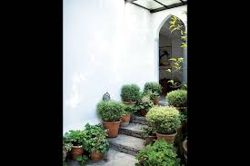 Pin On In The Garden And Beyond