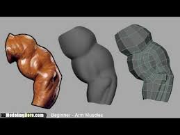 How To Model Arm Muscles Low Poly Beginner 3d Modeling Tutorial 3d Modeling Tutorial Modeling Tips Zbrush Tutorial
