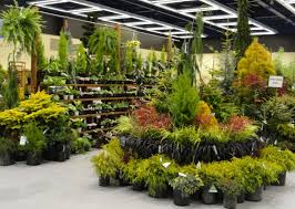 Danger Garden I Almost Forgot I Bought Some Plants Garden Center Displays Plant Display Ideas Garden Center