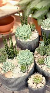 Wholesale Gardening Items Garden Zones 8 11 Gardening Gift Vouchers Nzd To Aud Fruit Garden In Uk Or In The Ukraini Succulent Garden Diy Succulents Plants