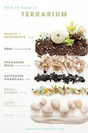 Learn How To Make Terrariums For Your Wedding How To Make Terrariums Build A Terrarium Terrarium Plants