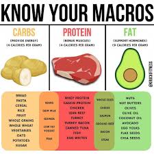 Have Trouble Finding Certain Foods To Hit Your Macros Look No Further Than Here Here S A List Of Some Great Muscle Gain Diet Workout Food Diet And Nutrition